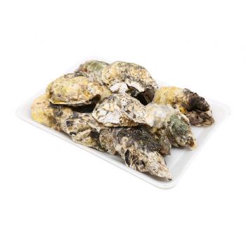 Hàu sữa loại 1 ( 8-12 con/1kg)