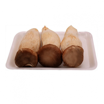 Nấm đùi gà khay 500gr