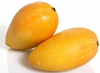 Xoài cát Hòa Lộc