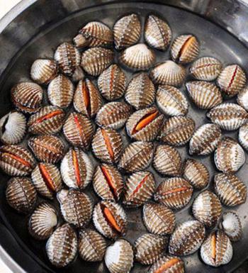 Sò huyết