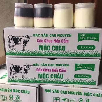 Sữa chua nếp cẩm Mộc Châu thùng 24 hộp